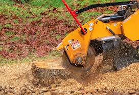 Lawn Edging in Meadow Vista, CA